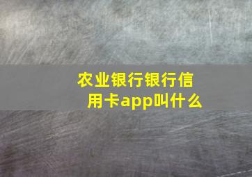 农业银行银行信用卡app叫什么