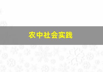 农中社会实践