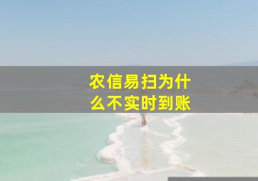 农信易扫为什么不实时到账