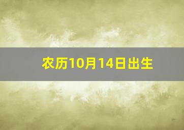 农历10月14日出生