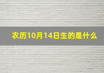 农历10月14日生的是什么