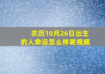 农历10月26日出生的人命运怎么样呢视频