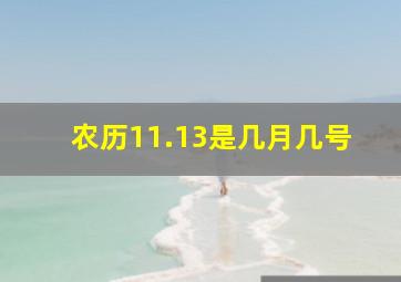 农历11.13是几月几号