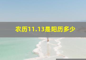 农历11.13是阳历多少