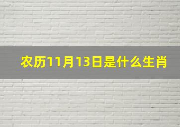 农历11月13日是什么生肖