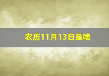 农历11月13日是啥