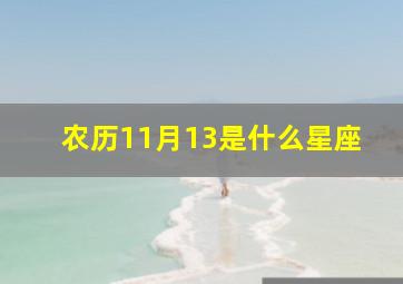 农历11月13是什么星座