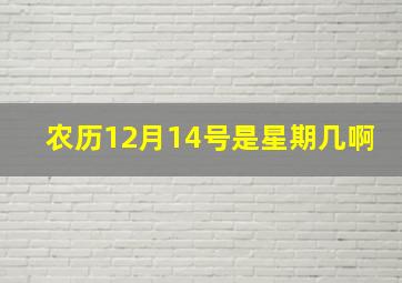 农历12月14号是星期几啊