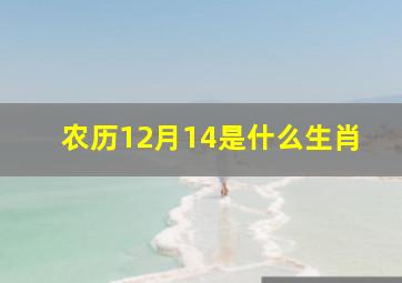 农历12月14是什么生肖