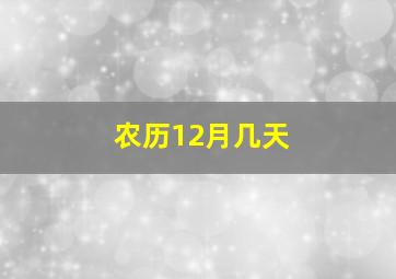 农历12月几天