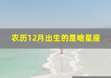 农历12月出生的是啥星座