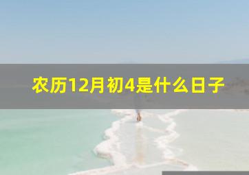 农历12月初4是什么日子