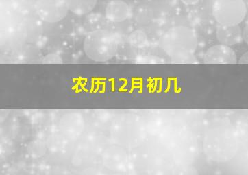 农历12月初几