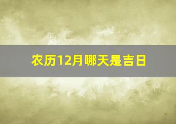 农历12月哪天是吉日