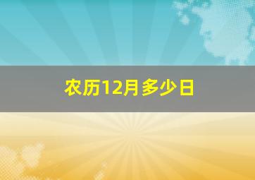 农历12月多少日