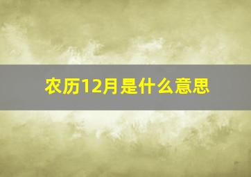 农历12月是什么意思