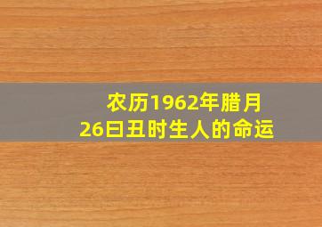 农历1962年腊月26曰丑时生人的命运