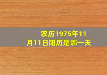 农历1975年11月11日阳历是哪一天