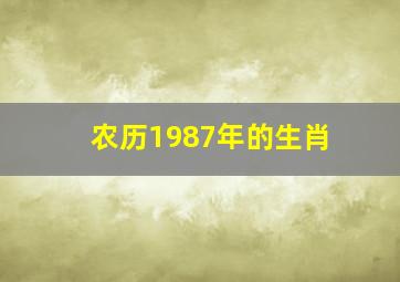 农历1987年的生肖