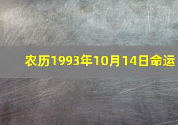 农历1993年10月14日命运