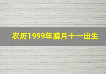 农历1999年腊月十一出生