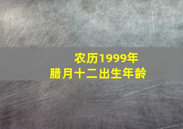 农历1999年腊月十二出生年龄