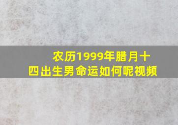 农历1999年腊月十四出生男命运如何呢视频