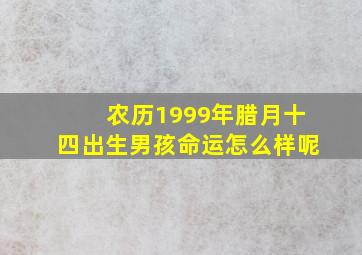 农历1999年腊月十四出生男孩命运怎么样呢