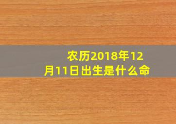 农历2018年12月11日出生是什么命