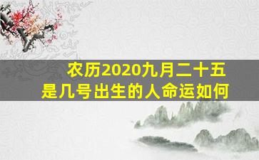 农历2020九月二十五是几号出生的人命运如何