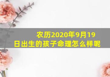 农历2020年9月19日出生的孩子命理怎么样呢