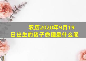 农历2020年9月19日出生的孩子命理是什么呢