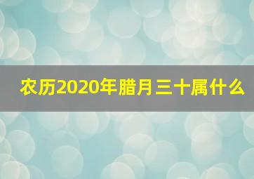 农历2020年腊月三十属什么