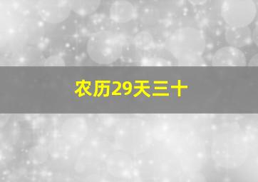 农历29天三十