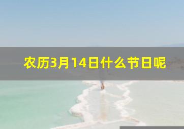 农历3月14日什么节日呢