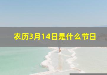 农历3月14日是什么节日