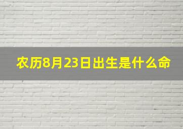 农历8月23日出生是什么命