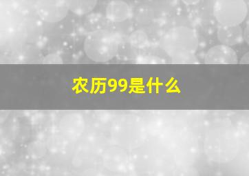 农历99是什么