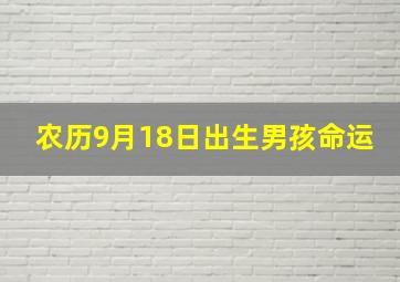 农历9月18日出生男孩命运