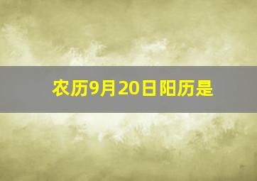 农历9月20日阳历是