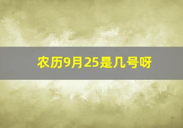 农历9月25是几号呀