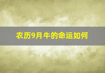 农历9月牛的命运如何