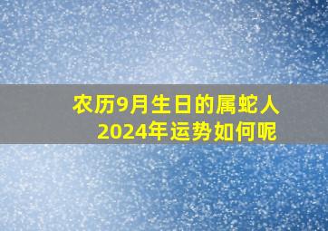 农历9月生日的属蛇人2024年运势如何呢