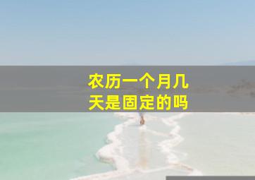 农历一个月几天是固定的吗