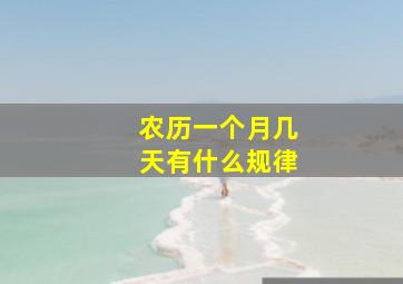 农历一个月几天有什么规律