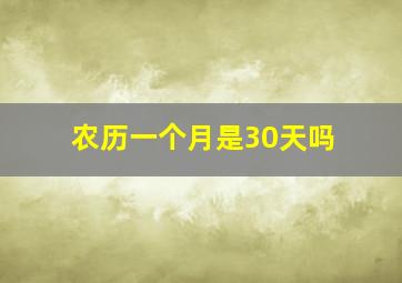 农历一个月是30天吗