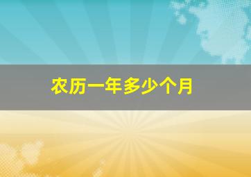 农历一年多少个月