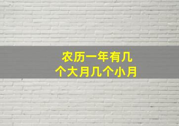 农历一年有几个大月几个小月