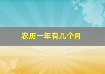 农历一年有几个月