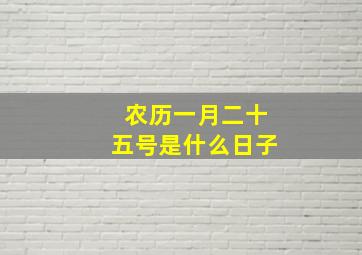 农历一月二十五号是什么日子